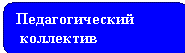 Педагогический коллектив