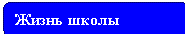 Жизнь школы